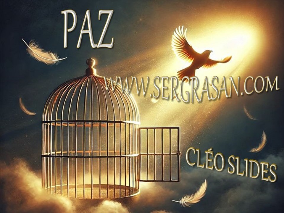 Ir Para